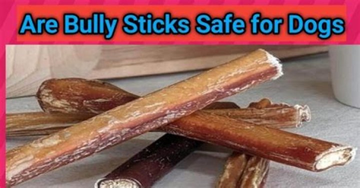 Are bully sticks safe for dogs?