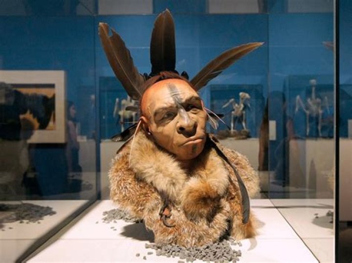 Are Neanderthals cannibals?