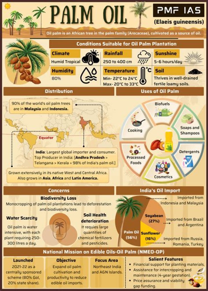 Are palms acid loving?