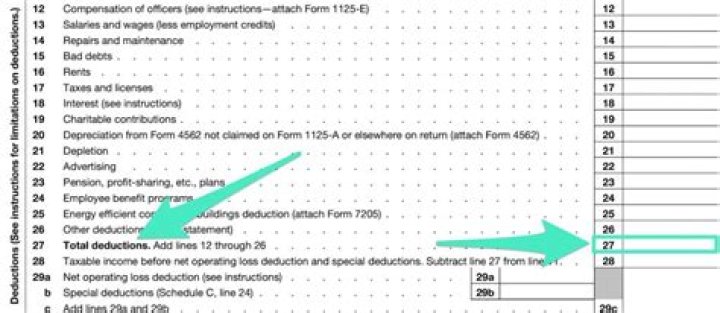 Are PPP loans reported on 1120S?