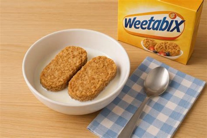 Can a dog eat Weetabix?