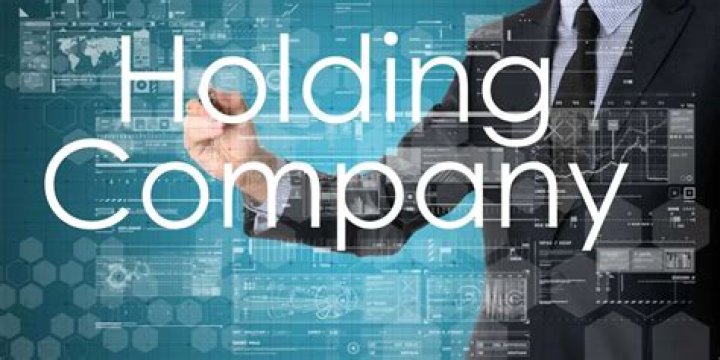 Can a LLC be set up as a holding company?