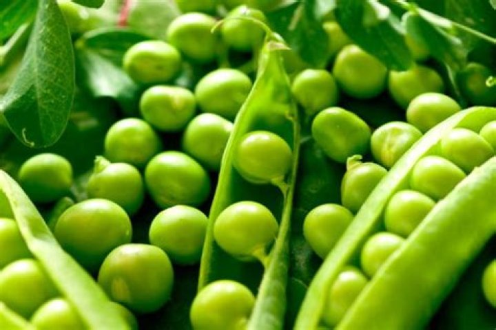 Can babies eat peas?