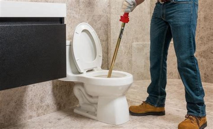 Can shampoo unclog a toilet?