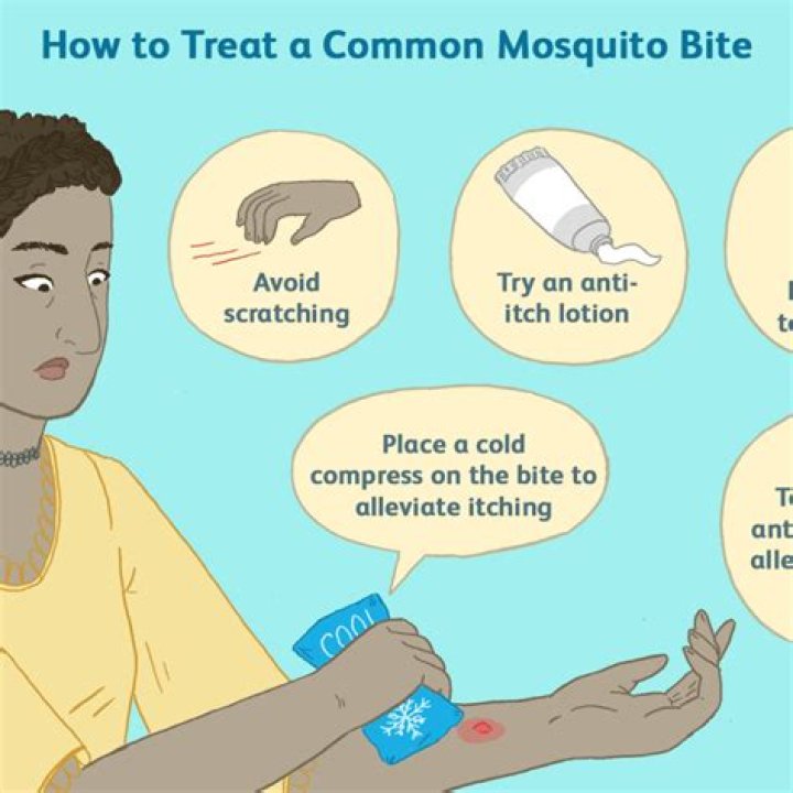 Can you become immune to mosquito bites?