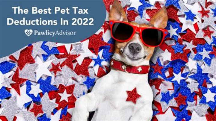 Can you claim your dog as a dependent on your taxes?