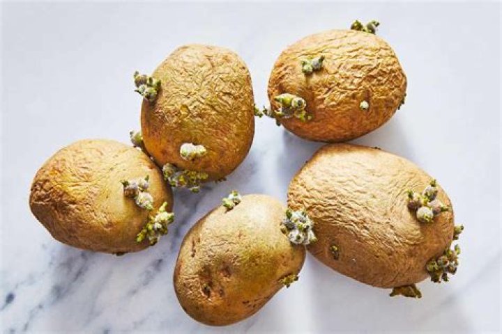 Can you eat potatoes with eyes?
