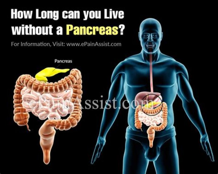 Can you live without your pancreas?