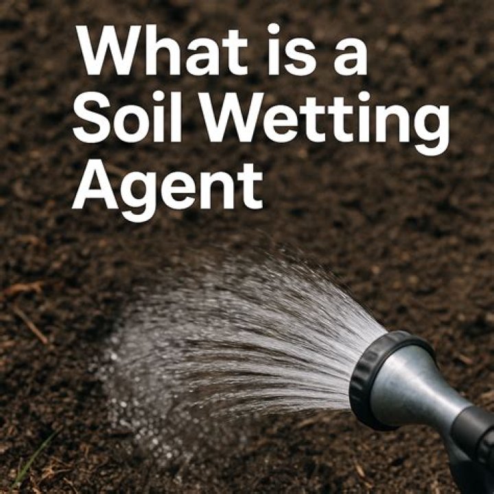 Can you make your own soil wetting agent?