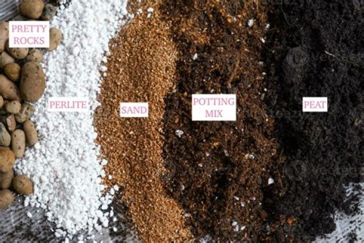 Can you mix blood and bone with potting mix?