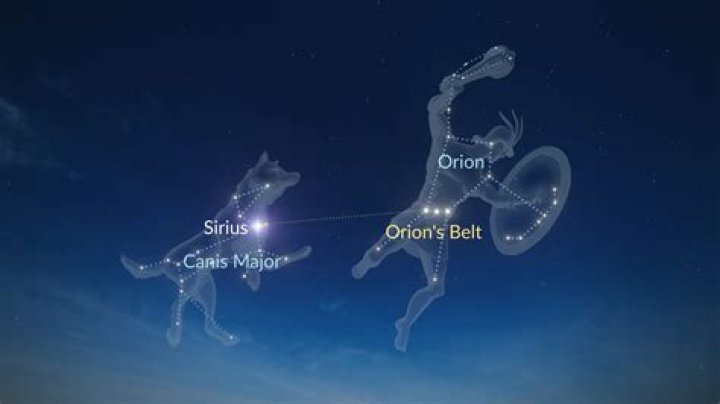 Can you name a dog star?