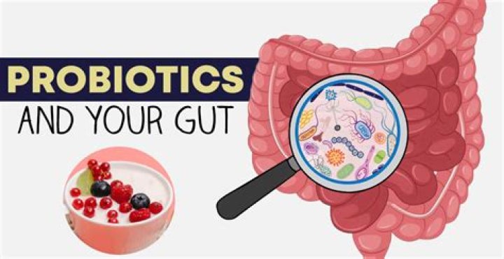 Can your body become dependent on probiotics?