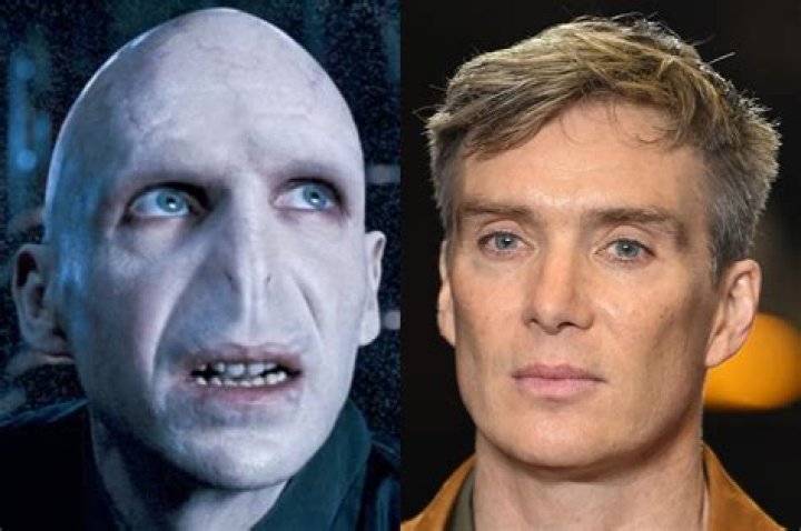 Did Grindelwald like Voldemort?