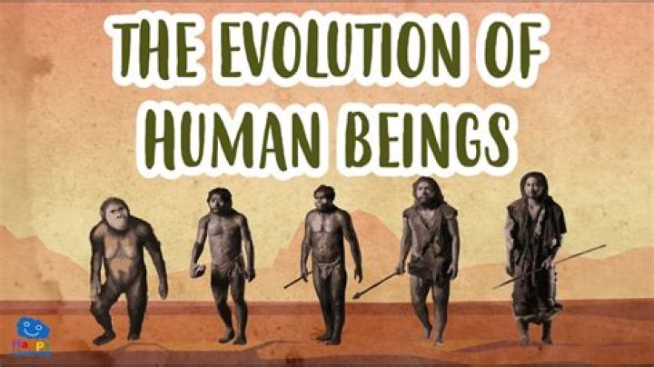 Did humans come from mice?
