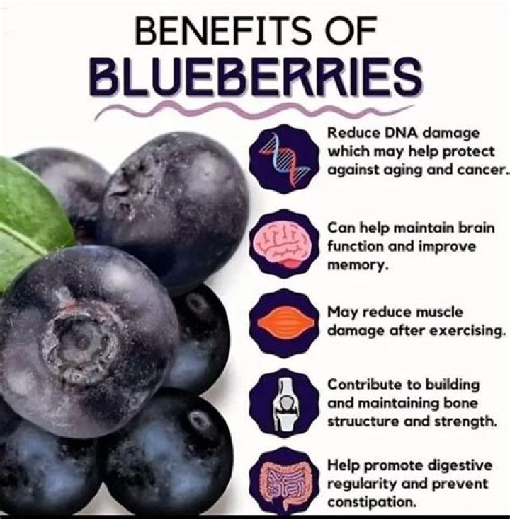 Do blueberries help a UTI?