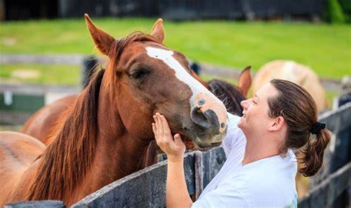 Do horses love humans?