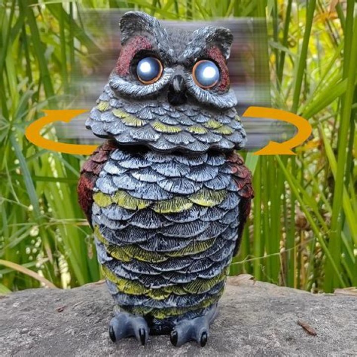 Do owl statues keep rodents away?