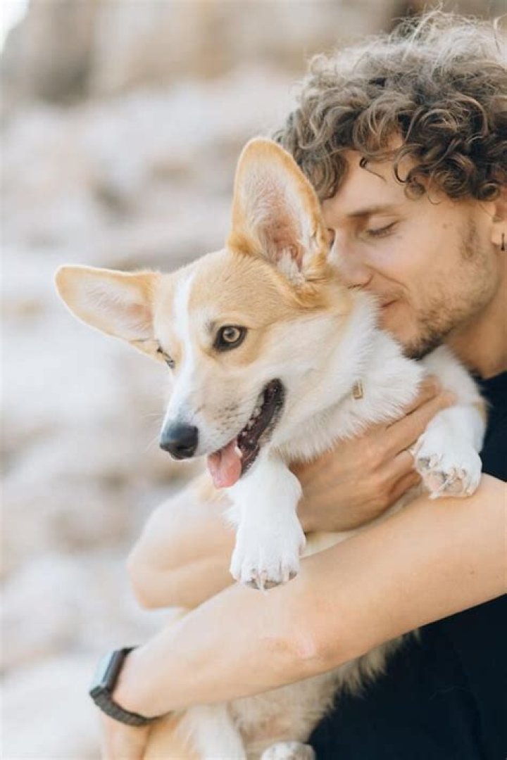 Do pets ever forget their owners?