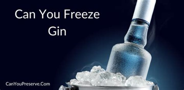 Do you freeze gin?