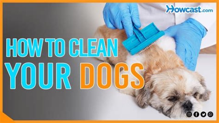Do you have to rinse coconut oil off your dog?