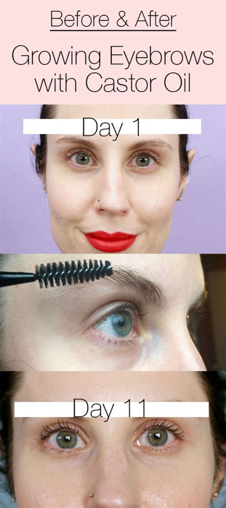 Does castor oil grow eyebrows?