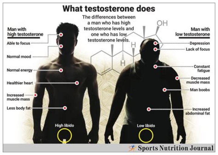 Does coconut increase testosterone?