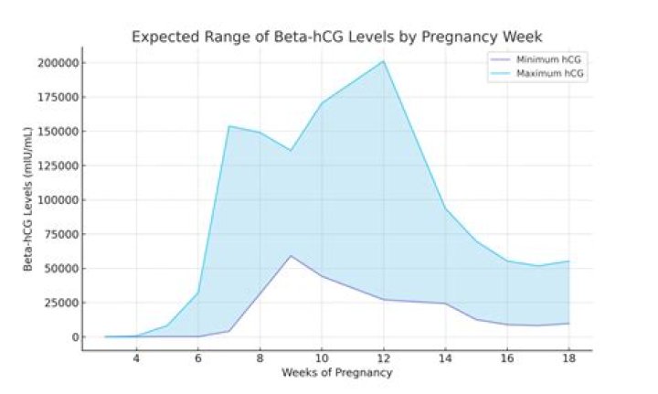 Does hCG rise faster with twins?