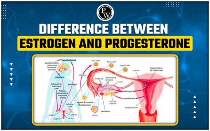 Does progesterone make you thirsty?