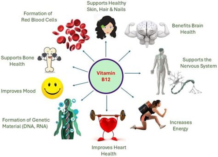 Does vitamin B12 reduce inflammation?