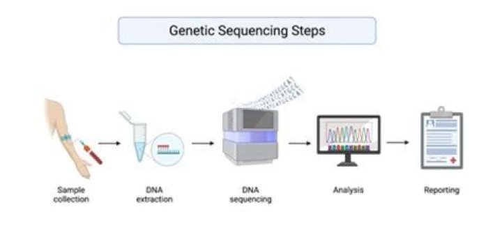 How accurate are genetic screening tests?