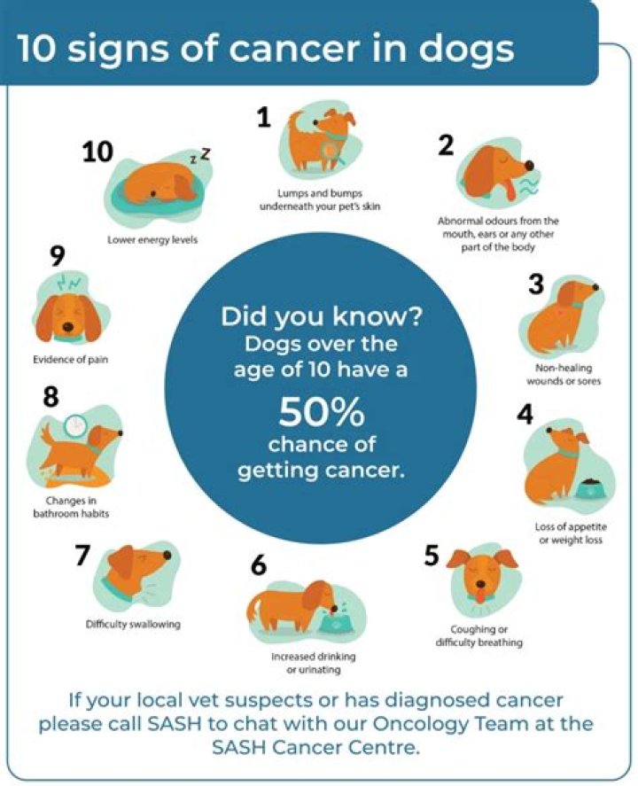 How can you tell if age spots are cancerous?