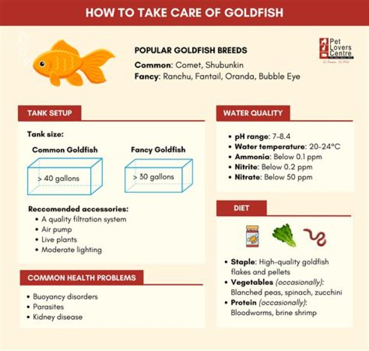 How can you tell if your goldfish is unhappy?
