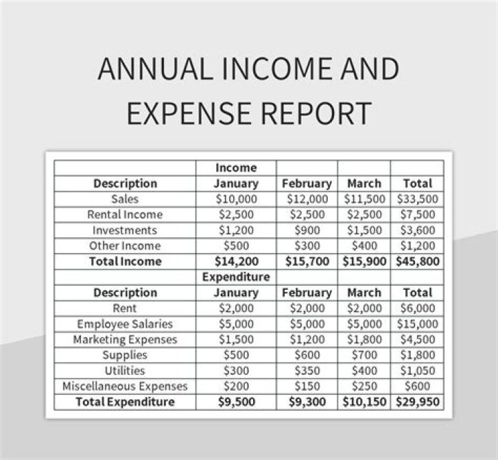 How do I report income to an LLC?
