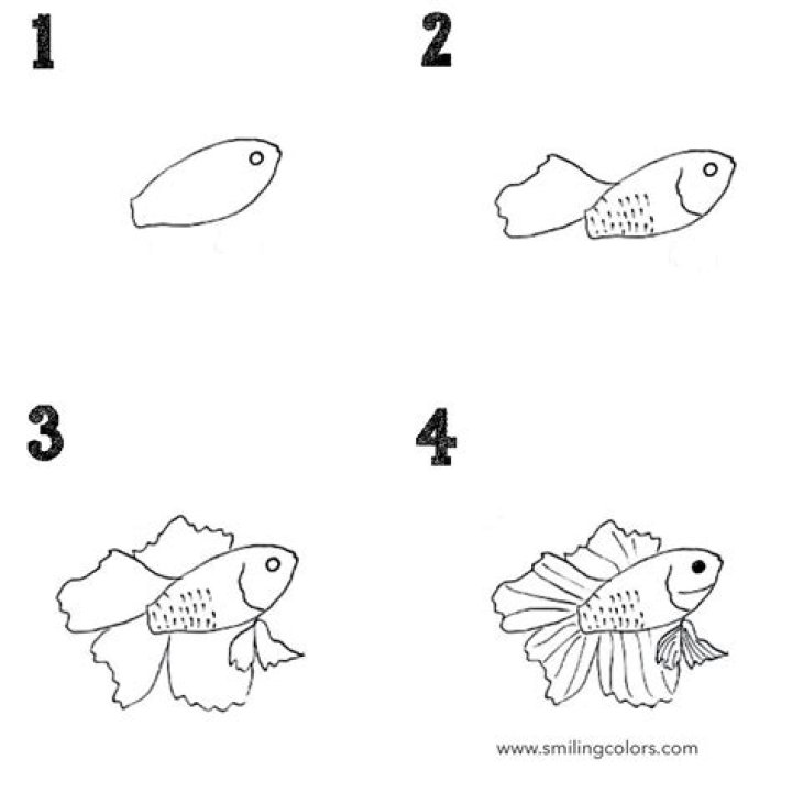How do you calm a stressed fish?