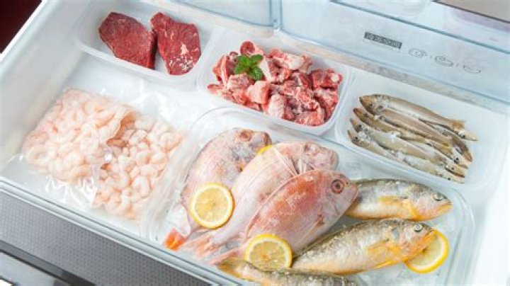 How do you keep fish frozen when traveling?