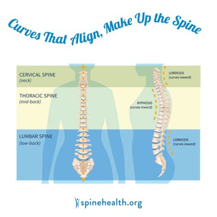 How do you know if your spine is aligned?