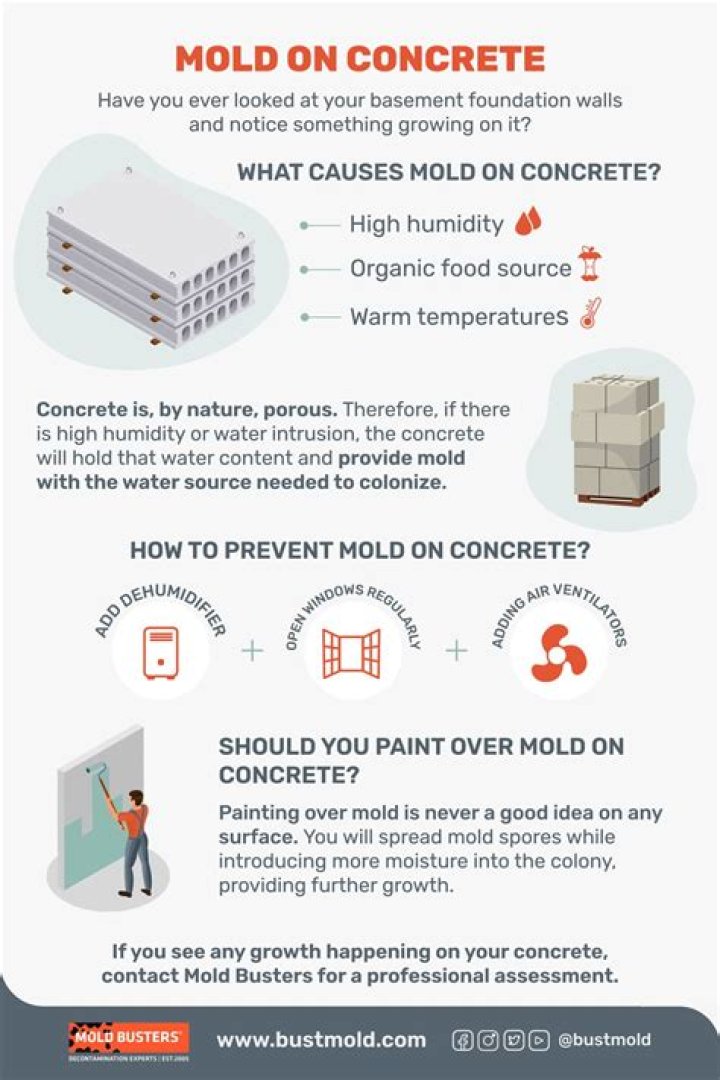 How do you prevent mold from growing on concrete?
