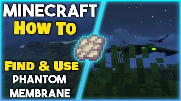How do you tame a phantom in Minecraft?