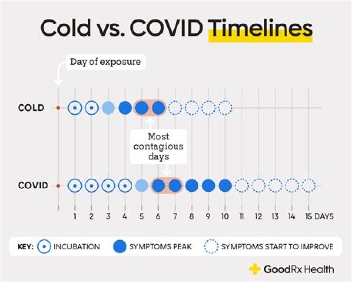 How long are COVID antibodies good for?