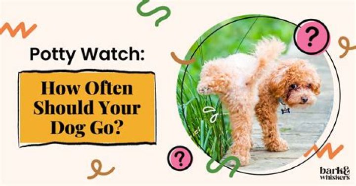 How long can a dog go without peeing?