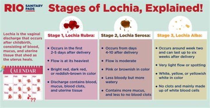 How long does lochia smell last?