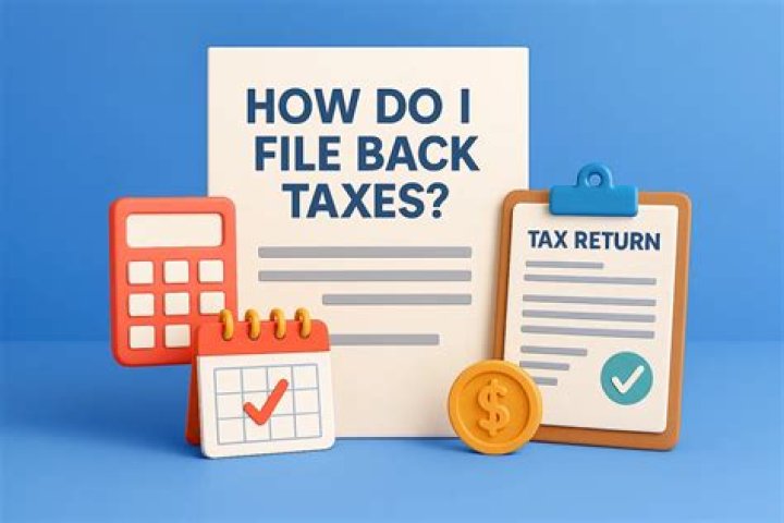 How often do you have to file back taxes with the IRS?