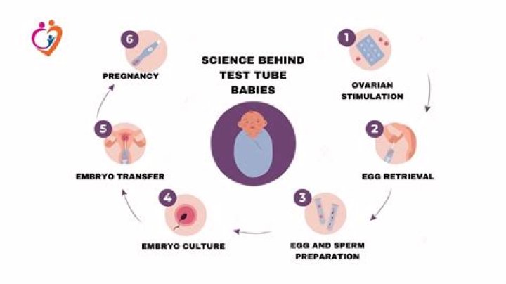 How old is the oldest test tube baby?