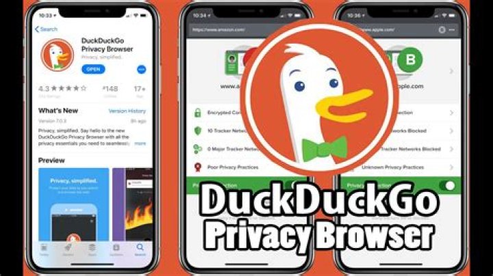How private is DuckDuckGo?