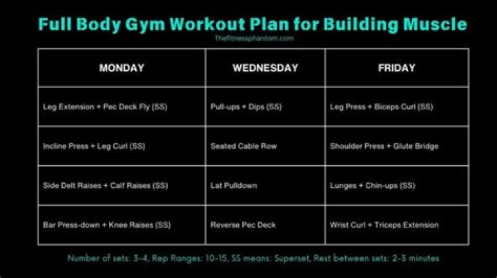 Is 1 hour in the gym enough?
