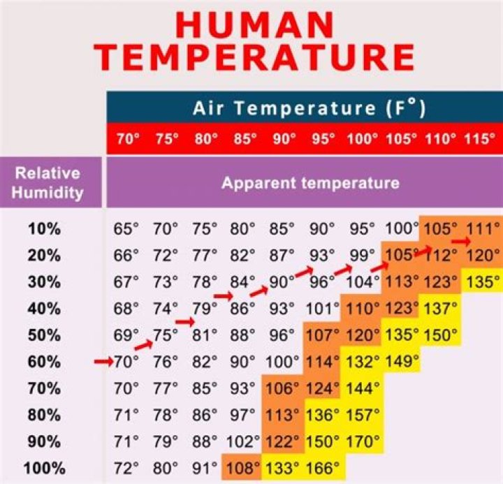 Is 60% humidity OK for a guitar?