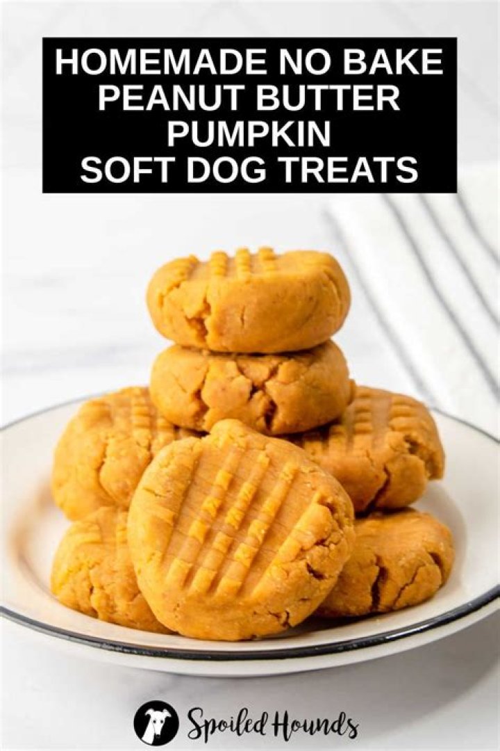Is baking buddy pumpkin OK for dogs?