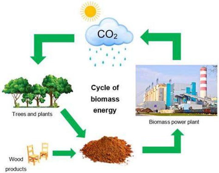 Is biomass good or bad for the environment?