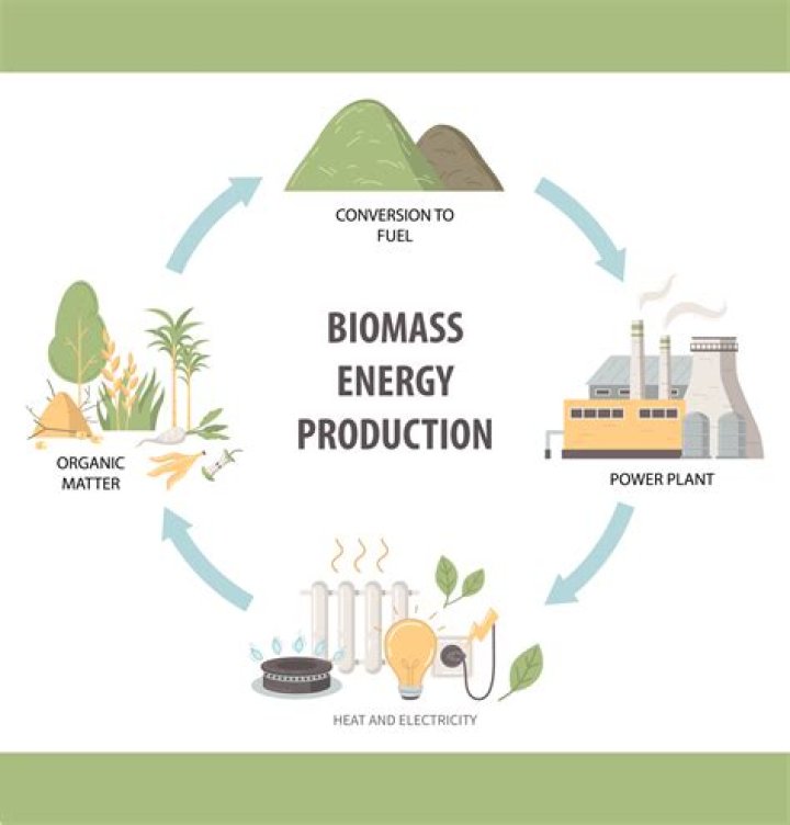 Is biomass worse than gas?
