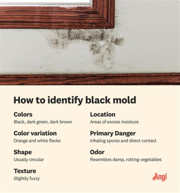 Is black mold flaky?